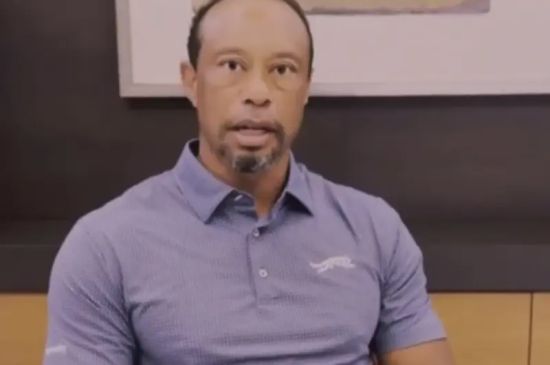 TIGER WOODS MAKES A RARE APPEARANCE POST-DUI REHAB